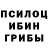 Галлюциногенные грибы Psilocybine cubensis vladosiki vidosiki